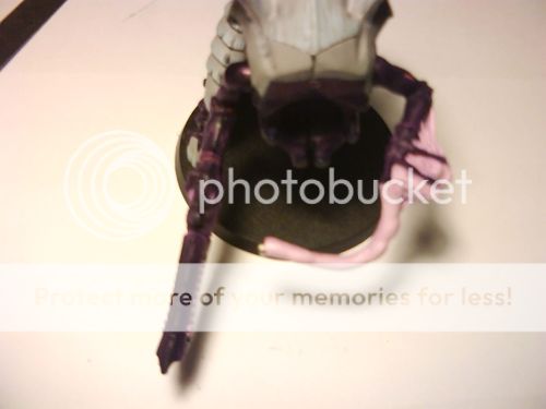 An Image