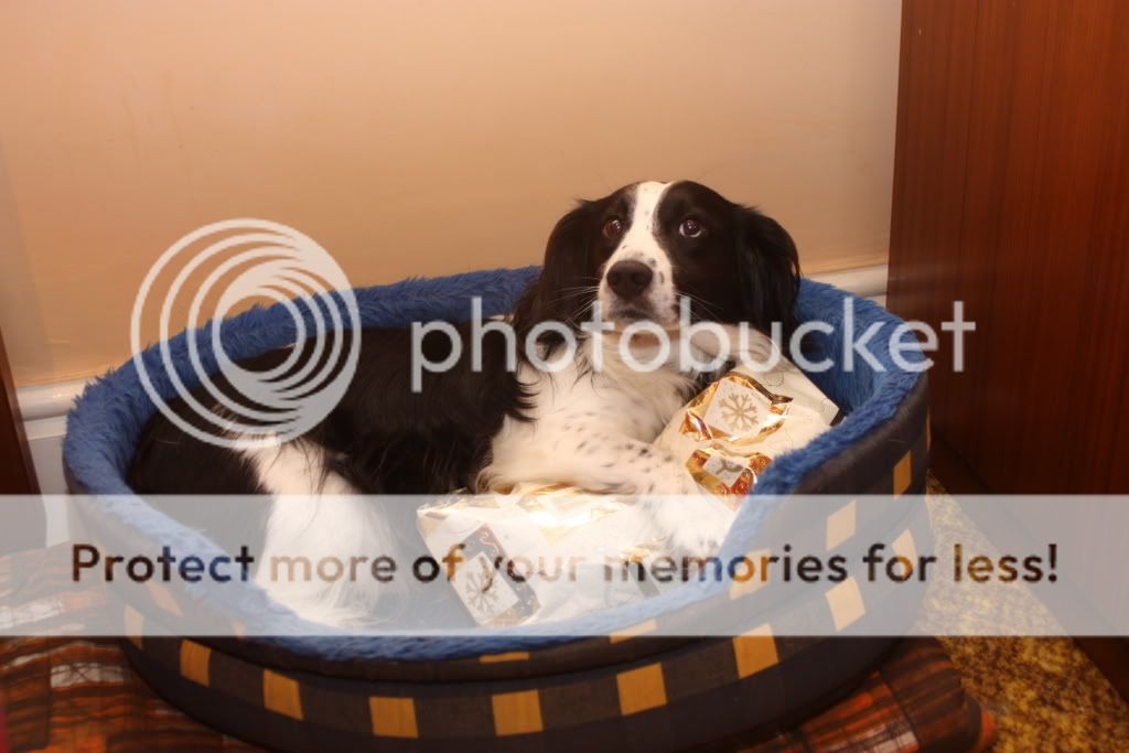 IMAGE: http://i385.photobucket.com/albums/oo295/broomsrck/Tommy015.jpg