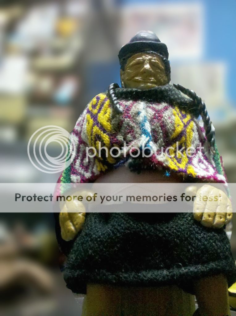 chola boliviana Taringa!