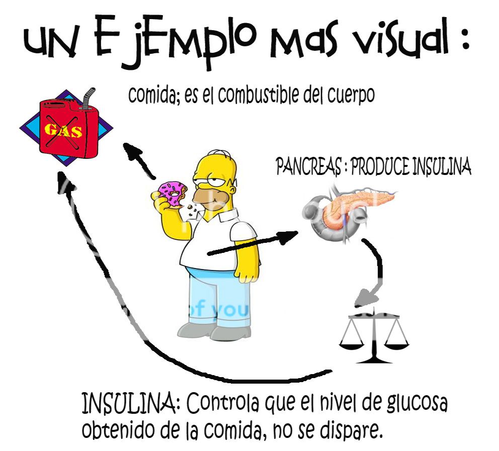 INSULINA VALORES NORMALES insulina valores normales: