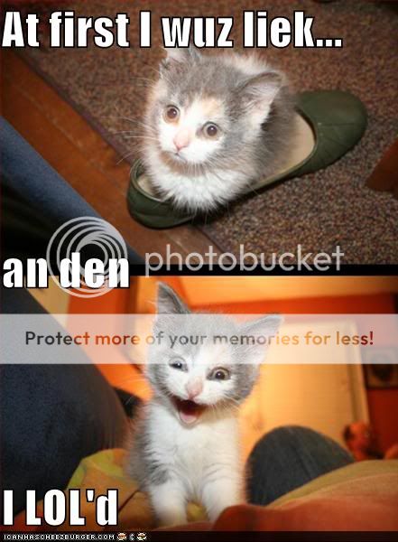 kittenlol.jpg