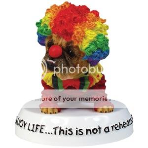 wig.png wig dog image by jasonhaynie