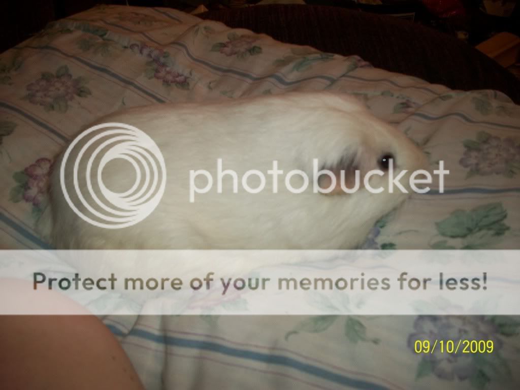 100_0825.jpg